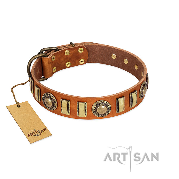 Unique genuine leather dog collar with rust-proof buckle