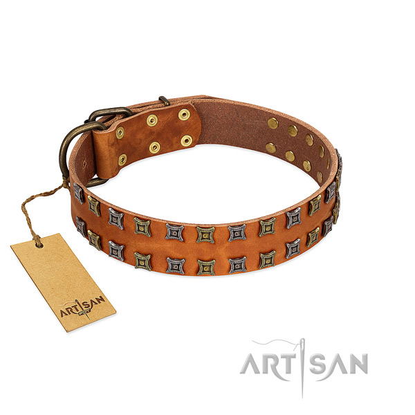 Reliable genuine leather dog collar with studs for your four-legged friend