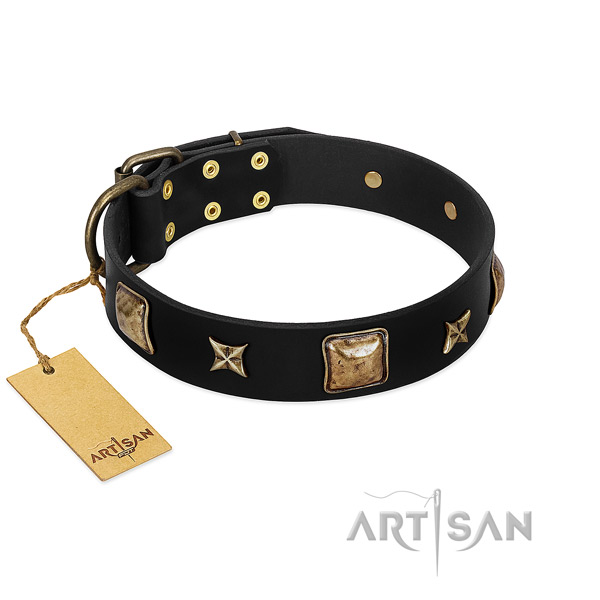 Leather dog collar of best quality material with stylish decorations
