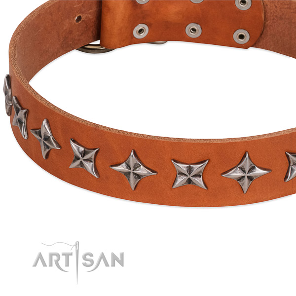 Everyday walking decorated dog collar of durable genuine leather