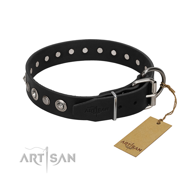 Strong full grain natural leather dog collar with impressive adornments