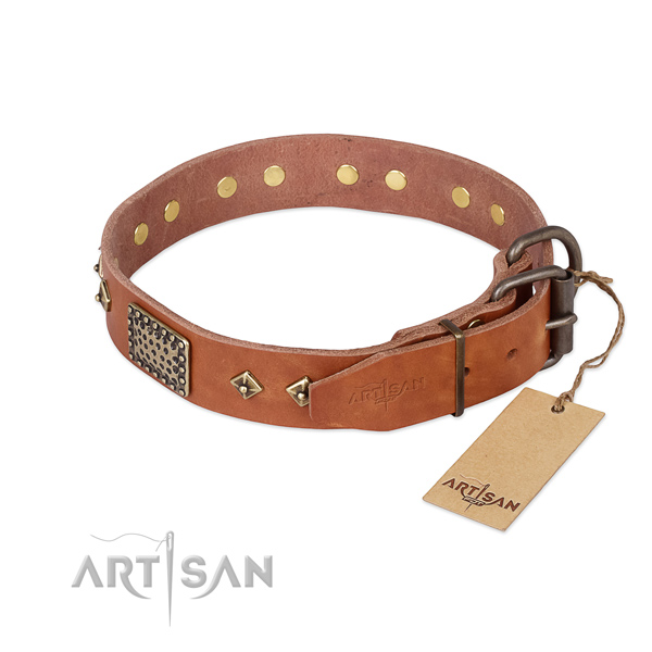 Natural leather dog collar with rust resistant hardware and embellishments