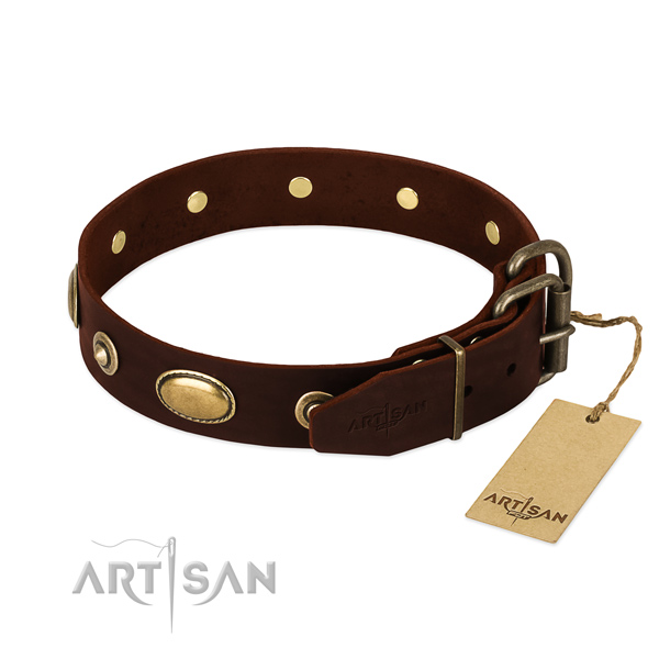 Reliable adornments on full grain genuine leather dog collar for your four-legged friend