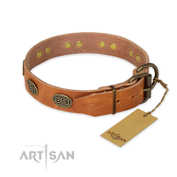Strong buckle on full grain genuine leather collar for basic training your pet