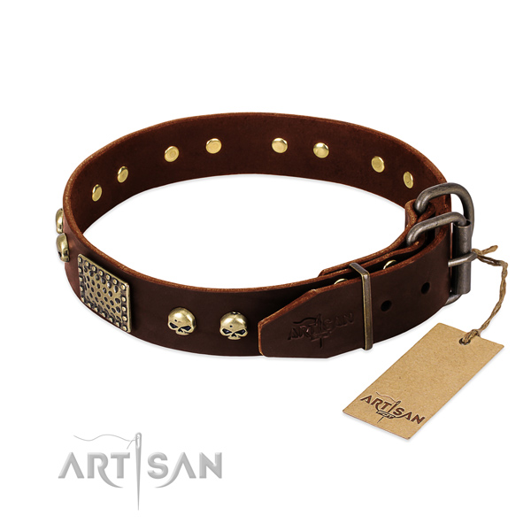 Rust-proof hardware on everyday walking dog collar
