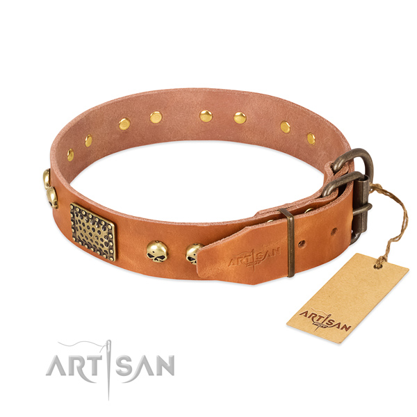 Corrosion proof traditional buckle on comfortable wearing dog collar