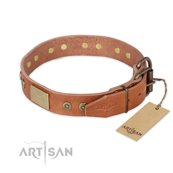 Strong fittings on full grain leather collar for fancy walking your doggie
