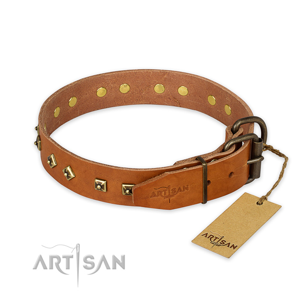 Durable fittings on natural leather collar for everyday walking your pet