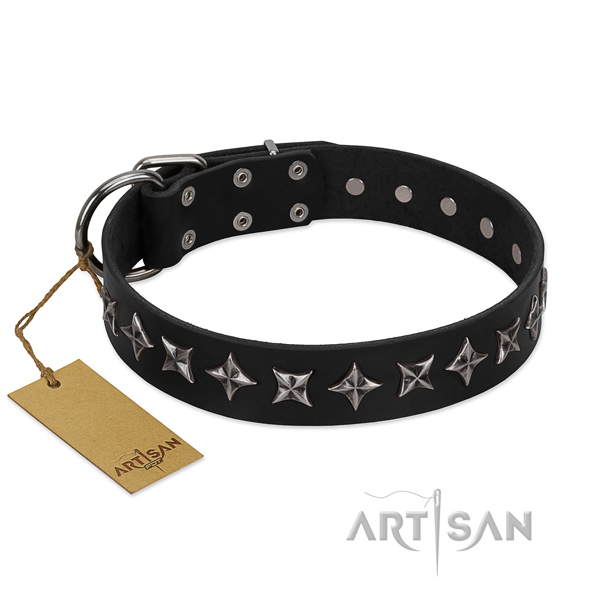 Stylish walking dog collar of top quality natural leather with decorations