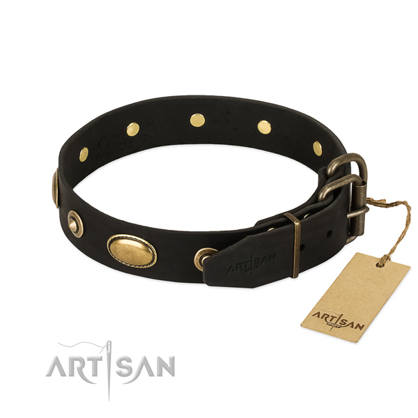 Durable traditional buckle on genuine leather dog collar for your dog