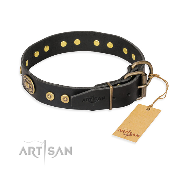Full grain natural leather dog collar made of reliable material with reliable embellishments