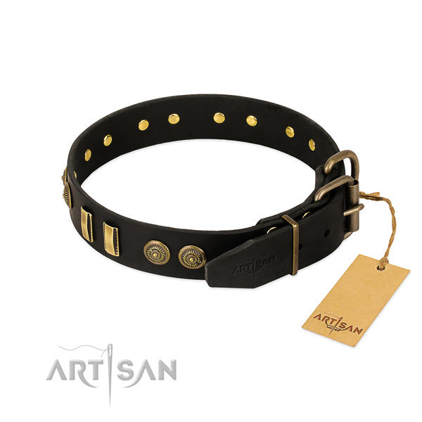 Rust-proof studs on full grain leather dog collar for your canine