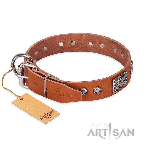 Reliable embellishments on daily use dog collar