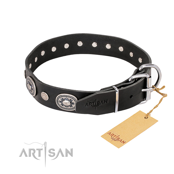 High quality leather dog collar made for daily walking