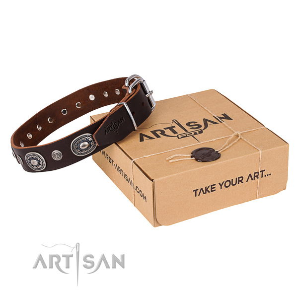 Reliable leather dog collar crafted for everyday walking