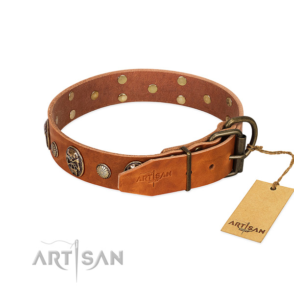 Corrosion proof D-ring on full grain leather collar for walking your doggie