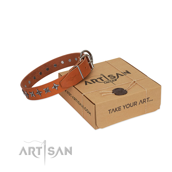 Stylish walking dog collar of finest quality full grain genuine leather with decorations