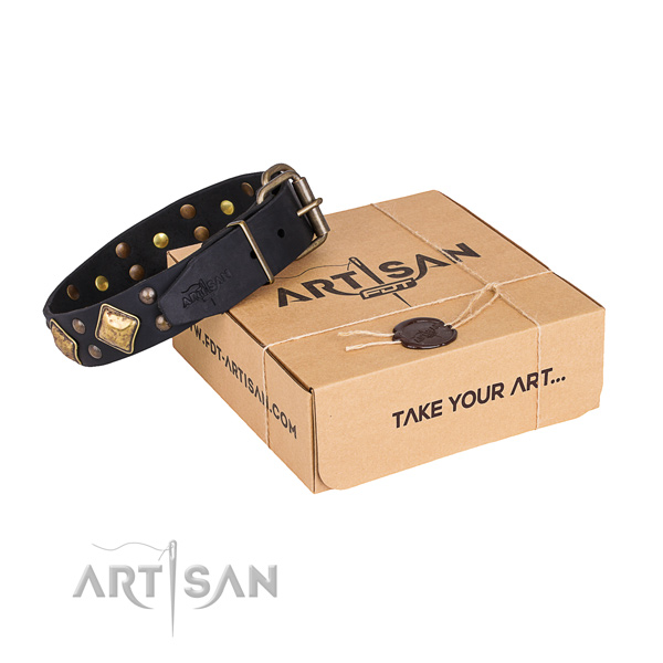 Daily use dog collar with Remarkable rust-proof decorations