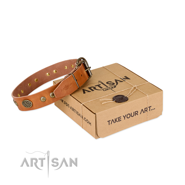 Rust resistant decorations on genuine leather dog collar for your canine