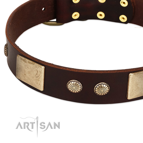 Corrosion proof fittings on full grain genuine leather dog collar for your canine
