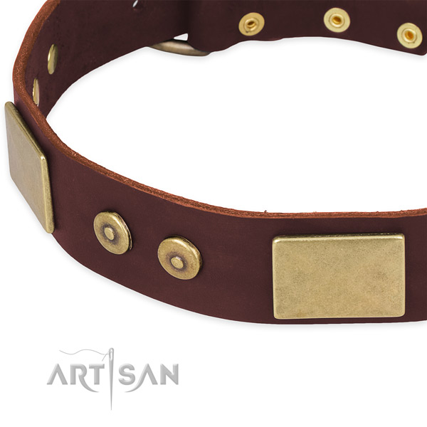 Full grain genuine leather dog collar with studs for comfortable wearing