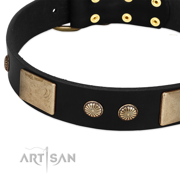 Genuine leather dog collar with embellishments for comfortable wearing