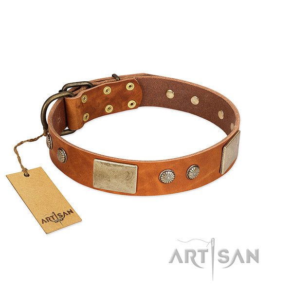 Easy wearing genuine leather dog collar for basic training your four-legged friend