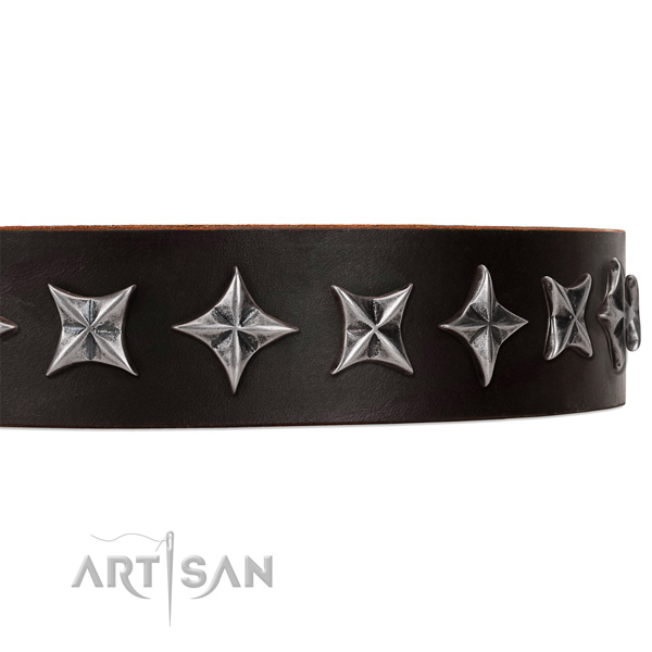 Everyday use adorned dog collar of strong leather