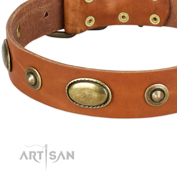 Strong traditional buckle on full grain leather dog collar for your four-legged friend
