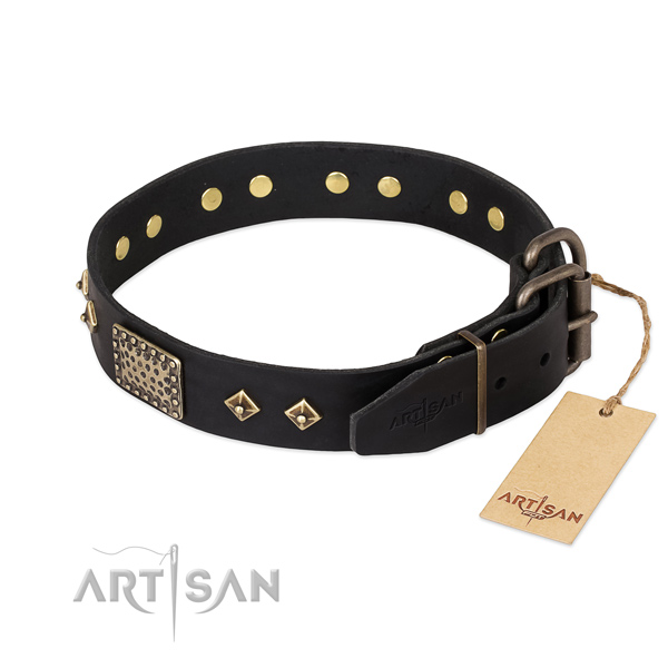 Full grain natural leather dog collar with rust-proof hardware and adornments