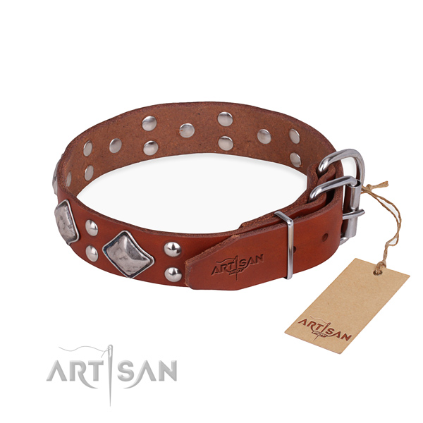 Full grain genuine leather dog collar with trendy corrosion proof embellishments