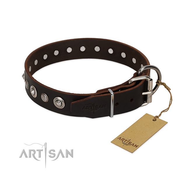 Strong full grain natural leather dog collar with stunning embellishments