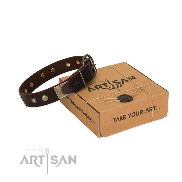 Rust-proof buckle on dog collar for walking