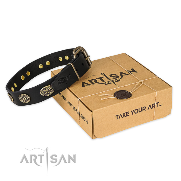 Reliable traditional buckle on leather collar for your handsome doggie