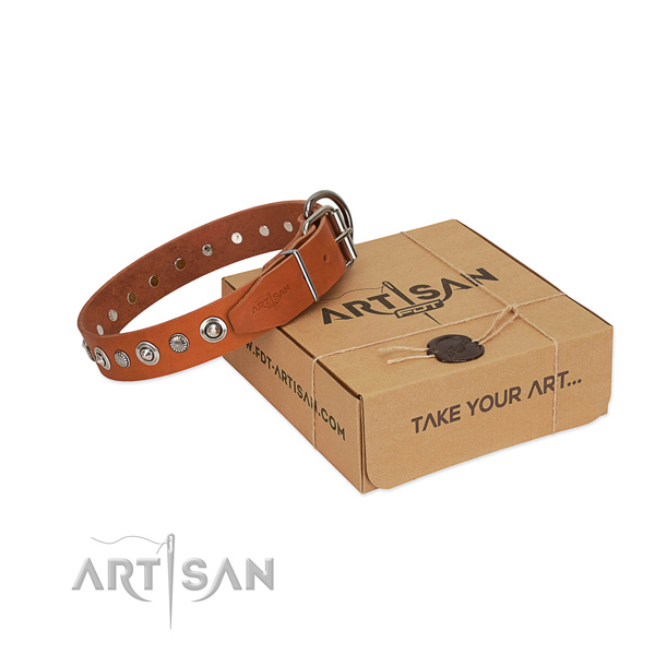 Reliable full grain leather dog collar with extraordinary decorations