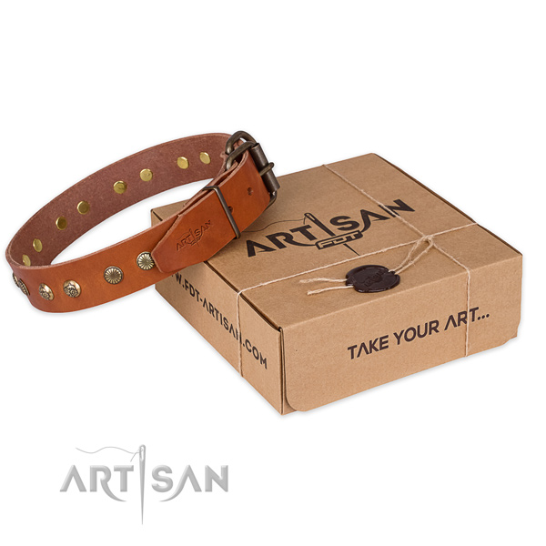 Durable traditional buckle on full grain leather collar for your stylish doggie