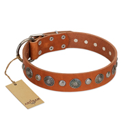 Fantastic Spiked leather Boxer Harness [H9B##1035 Spiked Dog Harness (brass)]  : Boxer dog harness, Boxer dog muzzle, Boxer dog collar, Dog leashes
