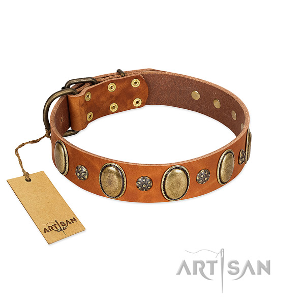 Daily use high quality full grain natural leather dog collar with decorations