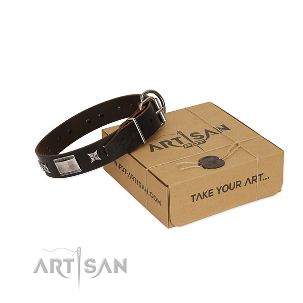 Remarkable collar of full grain natural leather for your lovely canine