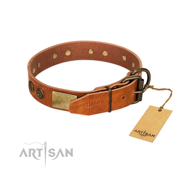 Durable D-ring on full grain leather collar for daily walking your dog