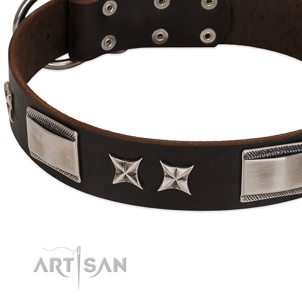 Flexible full grain leather dog collar with rust resistant hardware