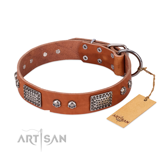 Adjustable full grain natural leather dog collar for daily walking your doggie