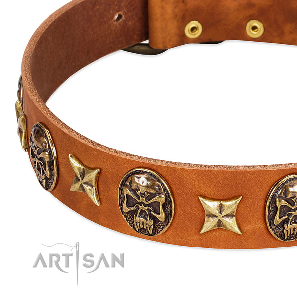 Corrosion resistant traditional buckle on full grain genuine leather dog collar for your canine