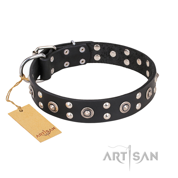 Stylish walking trendy dog collar with strong D-ring