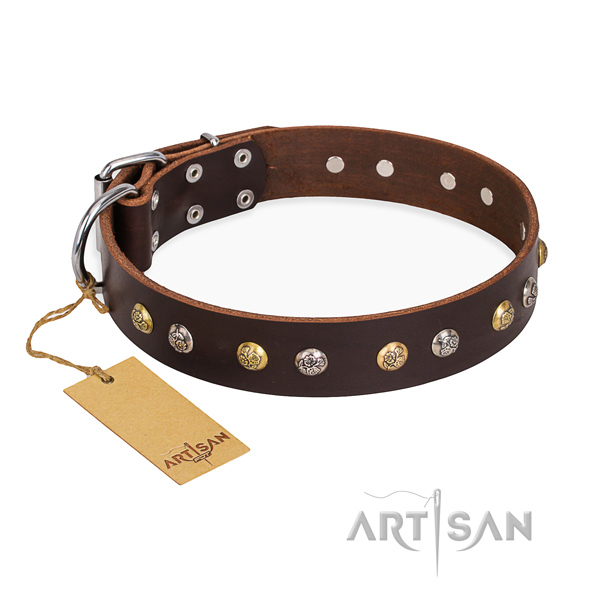 Walking handcrafted dog collar with rust-proof buckle