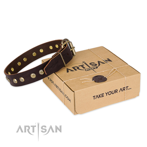 Rust-proof traditional buckle on natural genuine leather collar for your stylish dog