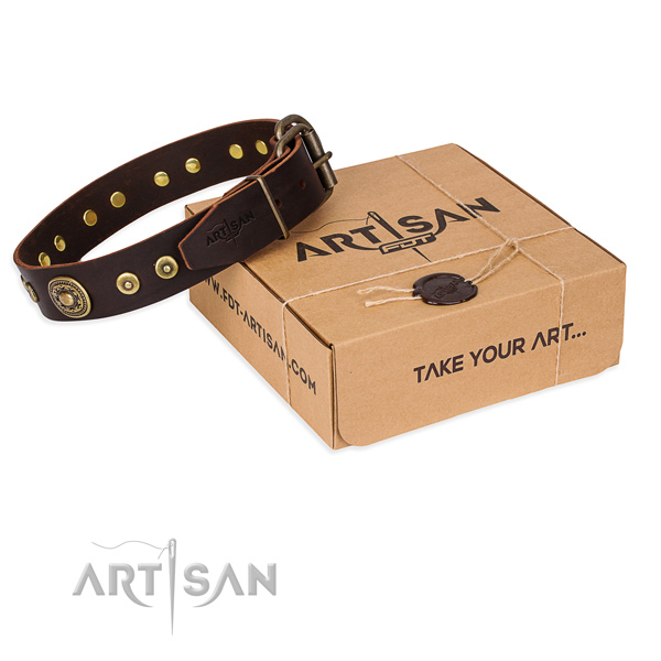 Full grain natural leather dog collar made of quality material with rust resistant buckle