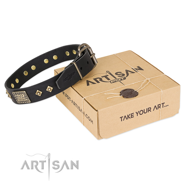 Exceptional full grain natural leather collar for your stylish canine