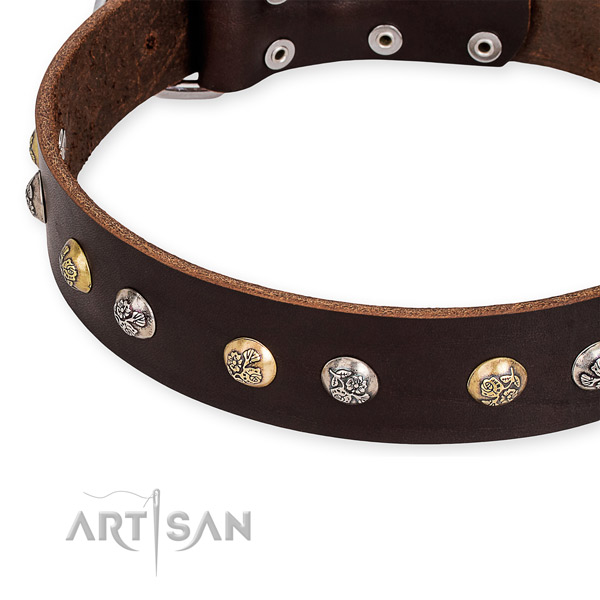 Full grain leather dog collar with top notch strong embellishments