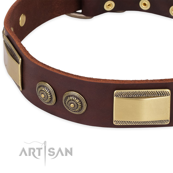 Significant leather collar for your lovely canine